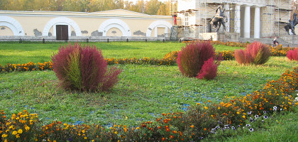 Клумба, парк Кузьминки, Москва
