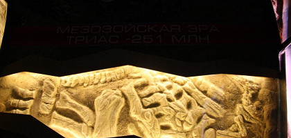 Оформление зала, музей Дарвина, Москва