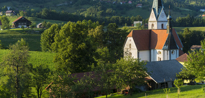 Добрна, Словения, церковь и коровы