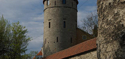 Замки Таллина