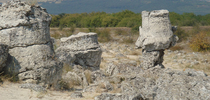 Каменный лес в Варне