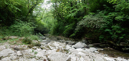 Течение реки Агура в сухой сезон