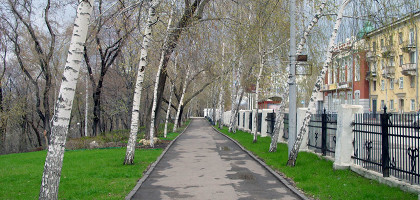 Струковский сад, аллея