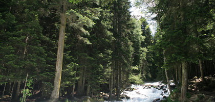 Серебряная река, Домбай, Карачаево-Черкессия, Кавказ