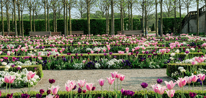 Королевские сады Херренхаузен, весна