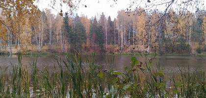 Парк «Харинка»