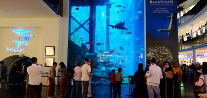Аквариум в торгово-развлекательном центре Дубай Молл