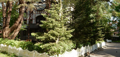 Переулок Сказочника Гофмана, Светлогорск