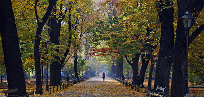 Краковские Планты, осенняя аллея