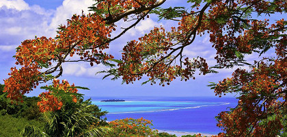 Красочная природа Северных Марианских островов