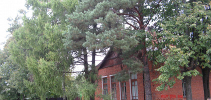 Самобытная архитектура в Бородино