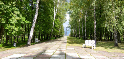 Аллея к памятнику-колонне Дмитрия Донского, Куликово поле