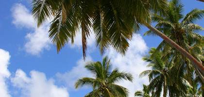 Сказочные пляжи Фиджи