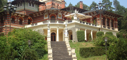 Дворец в Ликани, Грузия