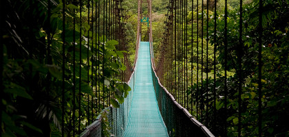 Подвесной мост в джунглях Коста-Рики