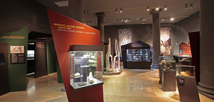 Национальный музей естественной истории в Карлсруэ,