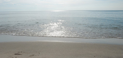 Балтийское море на пляже в Янтарном