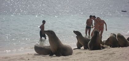 Туристы на пляже с морскими львами, Галапагосские острова