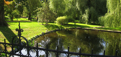 Ботанический сад Осло, пруд