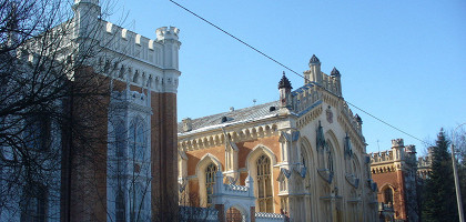 Дворцовые конюшни в Петергоф