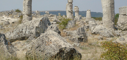 Каменный лес , Варна