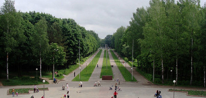 Реадовский лесопарк