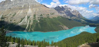 Национальный парк Банф, озеро Peyto