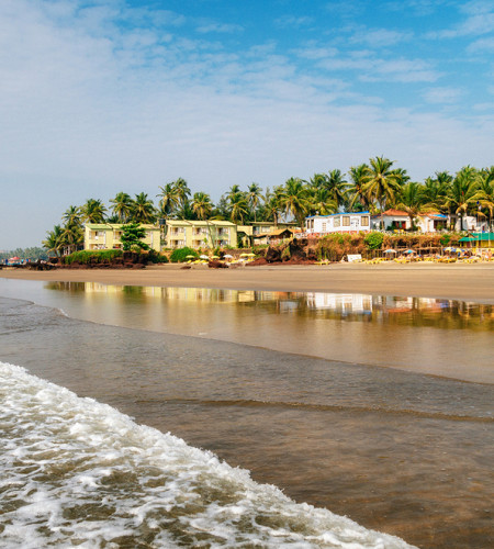 Dumbadagi bilyard topi