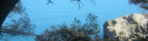 Лучшее в Крыму