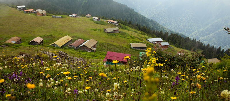 Кангал, Турция