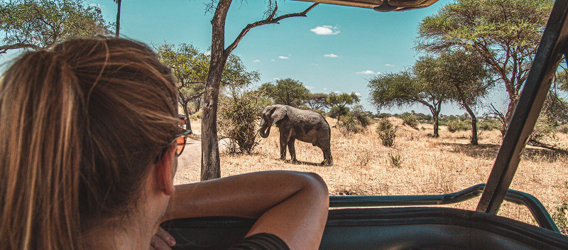 Экскурсия по Национальному парку в Серенгети