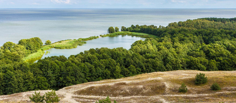 Куршская коса, Россия