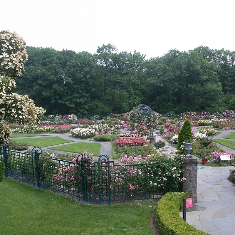 Ботанический сад нью йорка