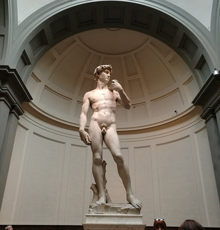 Галерея Академии изящных искусств Флоренции (Galleria dell'Accademia di Firenze)