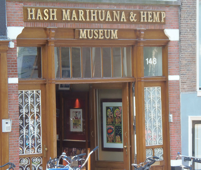 Амстердам музей конопли адрес как вырастить в теплице коноплю