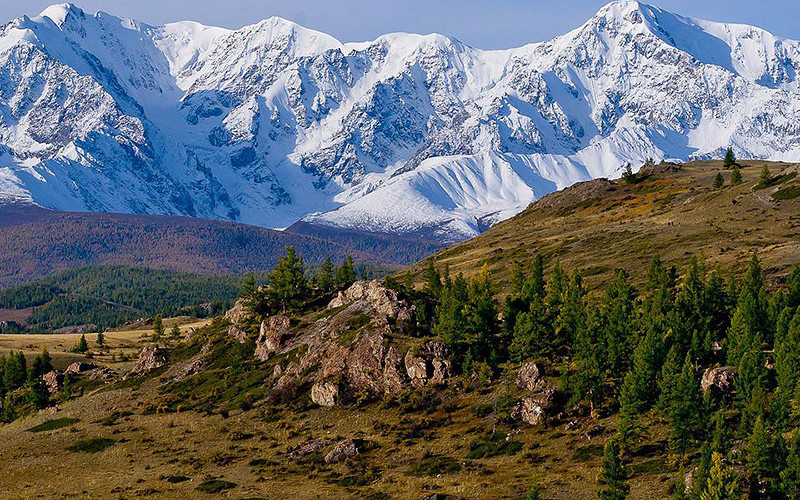 Фото стеллы алтайский край