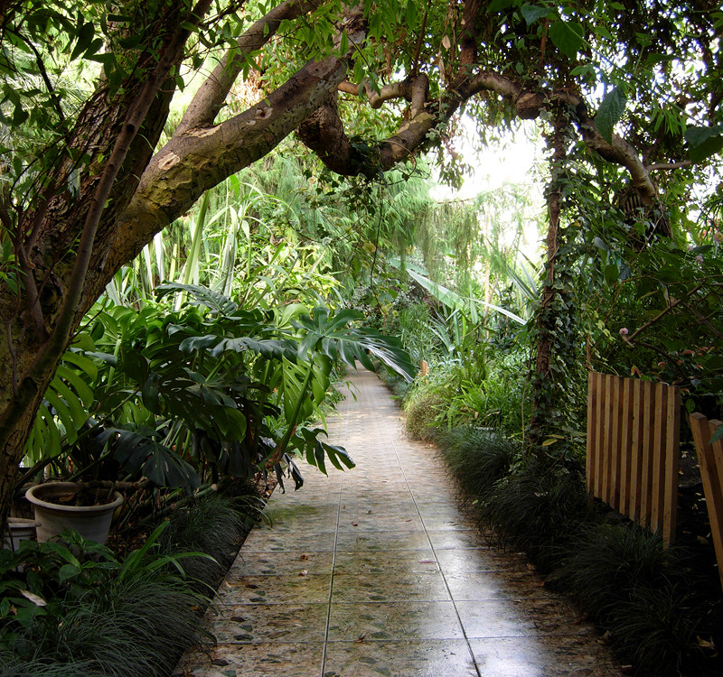 Ботанический сад Уфы — подробное описание, адрес и фото