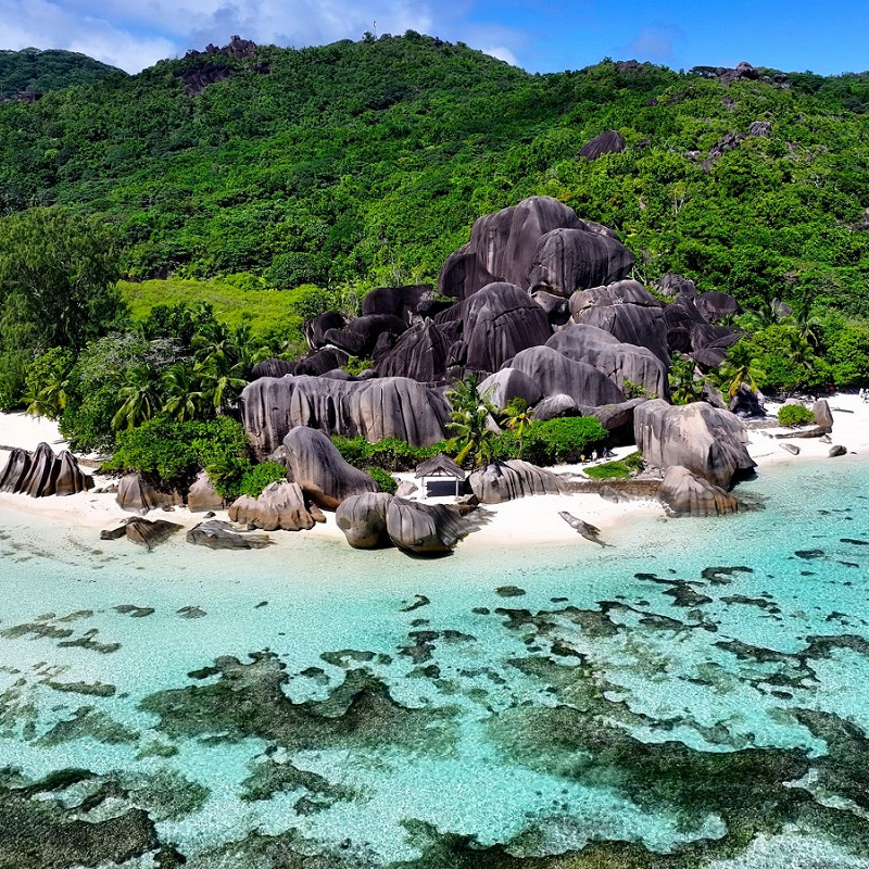 Пейзажи Сейшел - природа и кораллы