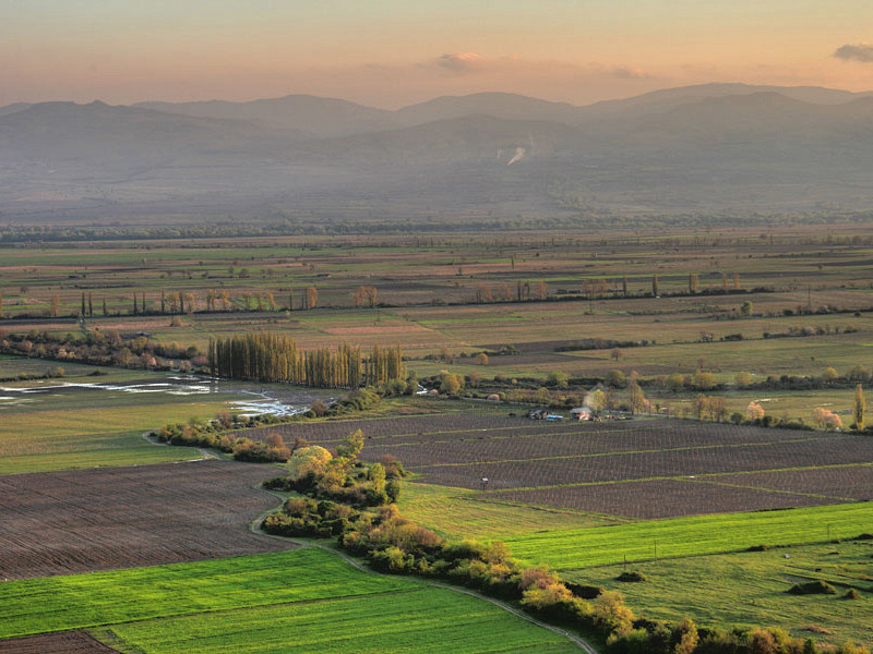 Фото алазанская долина грузия