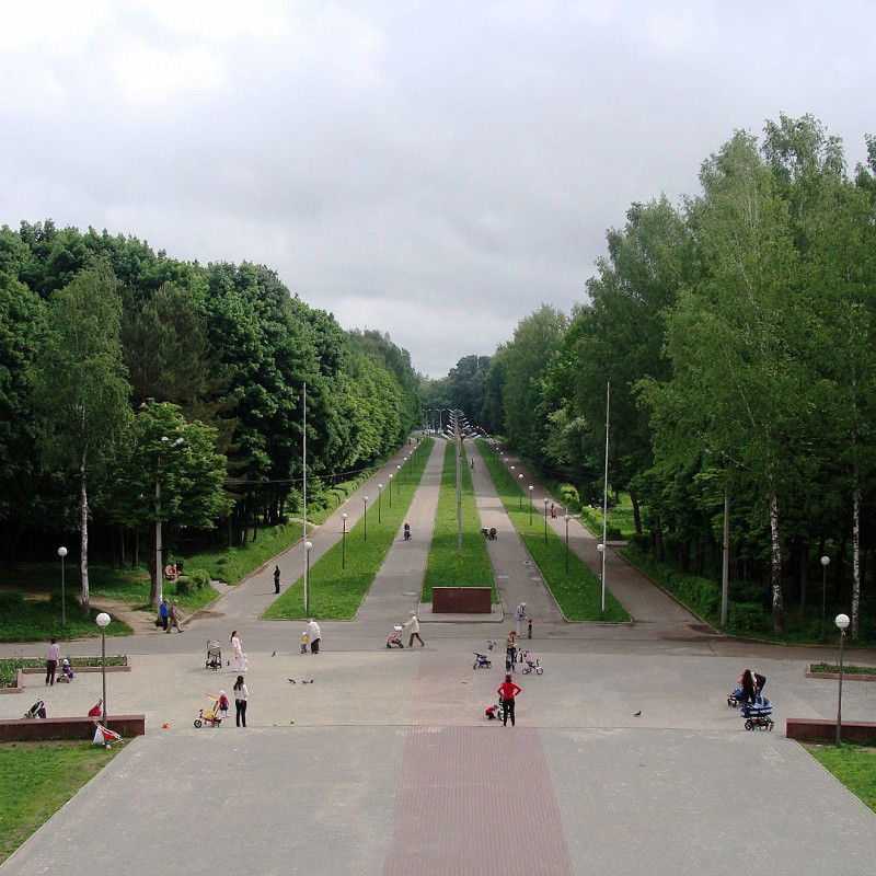 Реадовка. Реадовка Смоленск. Реадовский парк Смоленск сейчас. Смоленск Рядовский парк озеро. Реадовский парк Махачкала.