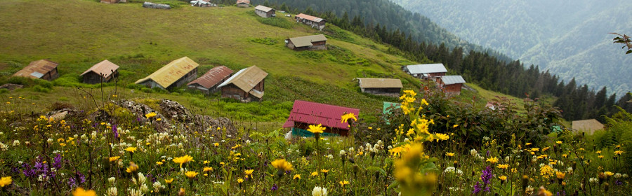 Кангал, Турция