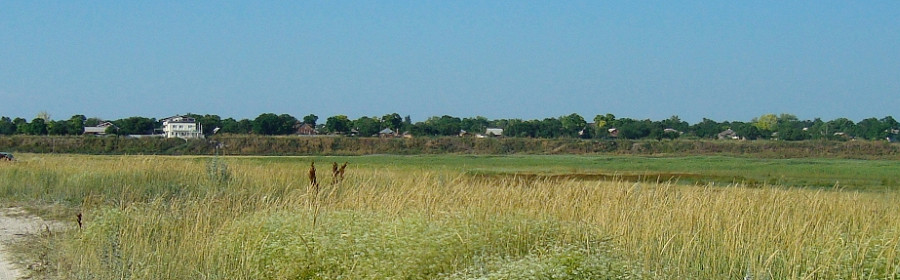 Виды Глафировки