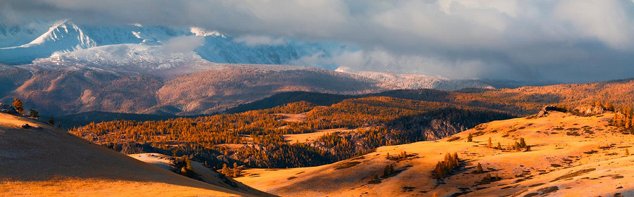 Курайская степь в горах Алтая