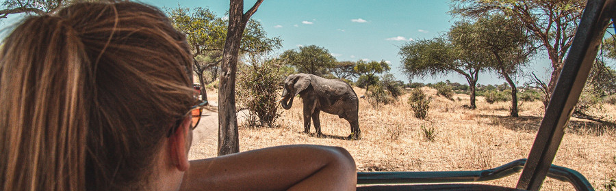 Экскурсия по Национальному парку в Серенгети