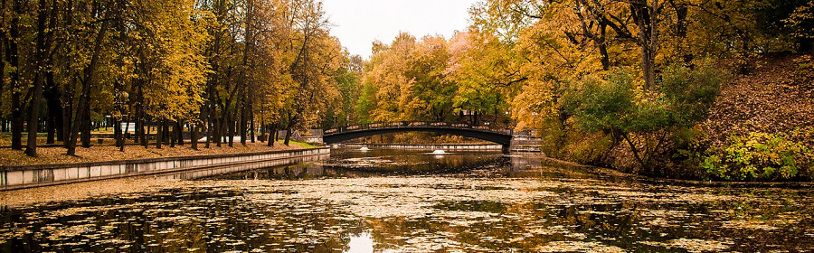 Лопатинский сад, Смоленск
