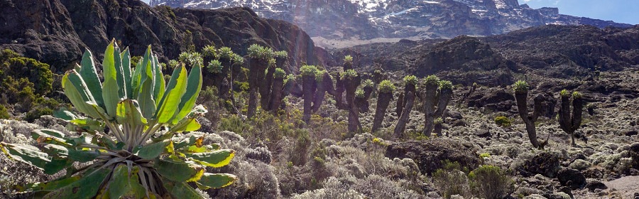 Килиманджаро, Танзания