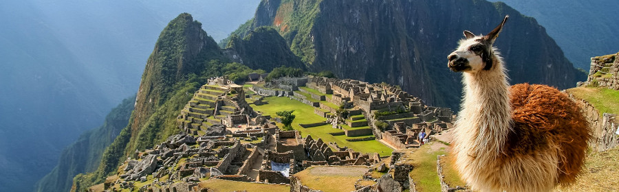 Мачу-Пикчу, Перу, лама