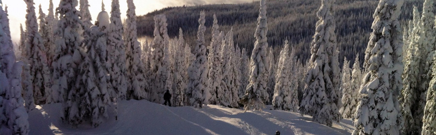 Катание на лыжах на горнолыжном курорте Серебряная Звезда