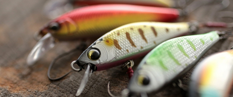 Журнал/Куда поехать на рыбалку в Астрахани: лучшие базы и отели на Волге