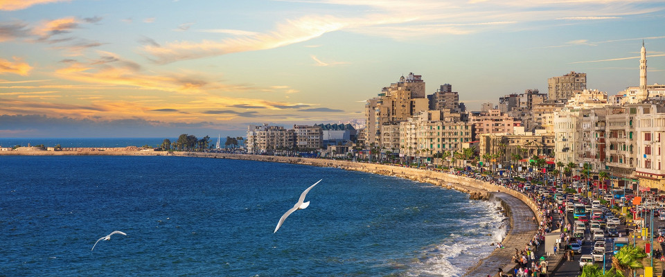 Журнал/Куда исчезла Библиотека Александрийская: вечная загадка